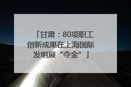 甘肃：80项职工创新成果在上海国际发明展“夺金”