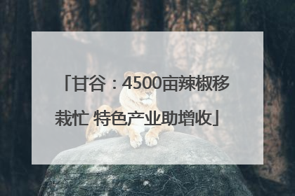 甘谷：4500亩辣椒移栽忙 特色产业助增收
