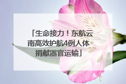 生命接力！东航云南高效护航4例人体捐献器官运输