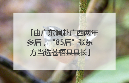 由广东调赴广西两年多后，“85后”张东方当选苍梧县县长