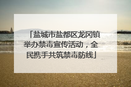 盐城市盐都区龙冈镇举办禁毒宣传活动，全民携手共筑禁毒防线