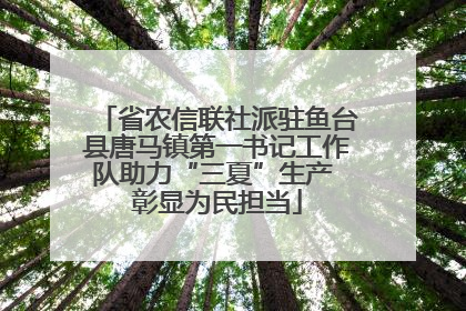 省农信联社派驻鱼台县唐马镇第一书记工作队助力“三夏”生产 彰显为民担当