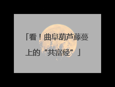 看！曲阜葫芦藤蔓上的“共富经”