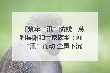筑牢“汛”防线｜慈利县阳和土家族乡：闻“汛”而动 全员下沉筑牢防汛“安全堤”
