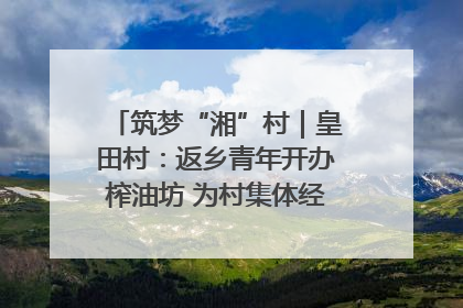 筑梦“湘”村｜皇田村：返乡青年开办榨油坊 为村集体经济“加油”