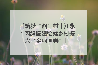 筑梦“湘”村｜江永：肉鸽振翅绘就乡村振兴“金羽画卷”
