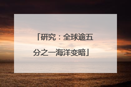 研究：全球逾五分之一海洋变暗