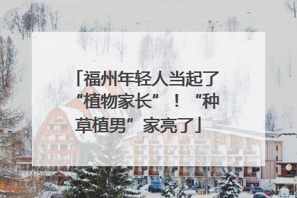 福州年轻人当起了“植物家长”！“种草植男”家亮了