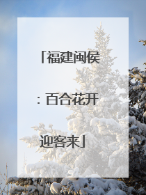 福建闽侯：百合花开迎客来