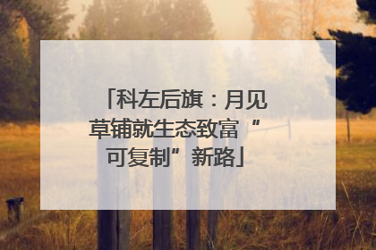科左后旗：月见草铺就生态致富“可复制”新路