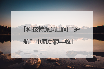 科技特派员田间“护航”中原夏粮丰收