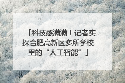 科技感满满！记者实探合肥高新区多所学校里的“人工智能”