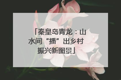 秦皇岛青龙：山水间“播”出乡村振兴新图景