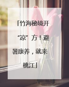 竹海秘境开“凉”方！避暑康养，就来桃江