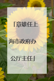 章雄任上海市政府办公厅主任
