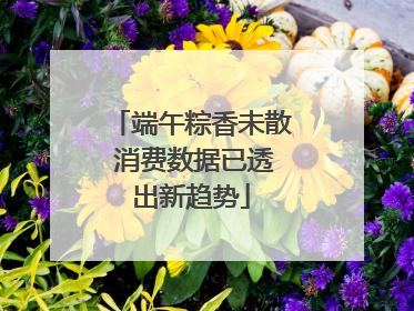 端午粽香未散 消费数据已透出新趋势