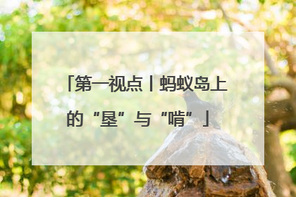 第一视点丨蚂蚁岛上的“垦”与“啃”