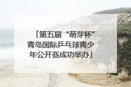 第五届“萌芽杯”青岛国际乒乓球青少年公开赛成功举办