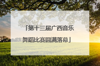 第十三届广西音乐舞蹈比赛圆满落幕