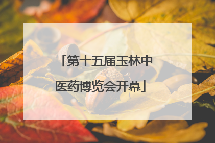 第十五届玉林中医药博览会开幕