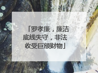 罗孝廉，廉洁底线失守，非法收受巨额财物