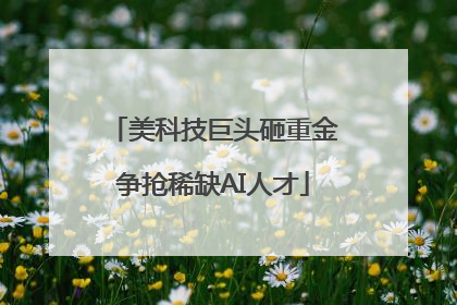 美科技巨头砸重金争抢稀缺AI人才
