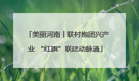 美丽河南丨联村抱团兴产业 “红旗”联建动脉通