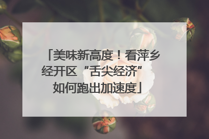 美味新高度！看萍乡经开区“舌尖经济” 如何跑出加速度