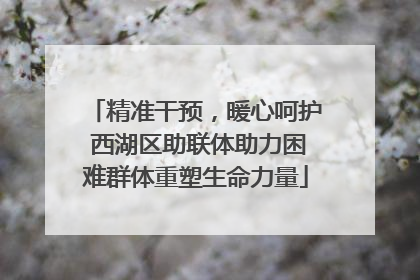 精准干预，暖心呵护 西湖区助联体助力困难群体重塑生命力量