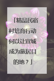 精品民宿村培育行动何以让宣城成为旅居目的地？