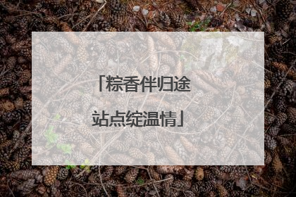 粽香伴归途 站点绽温情