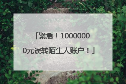 紧急！10000000元误转陌生人账户！