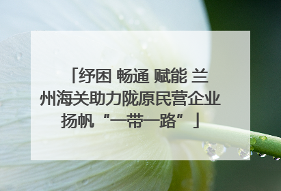 纾困 畅通 赋能 兰州海关助力陇原民营企业扬帆“一带一路”