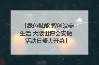 绿色赋能 智创皖美生活 大阪世博会安徽活动日盛大开幕