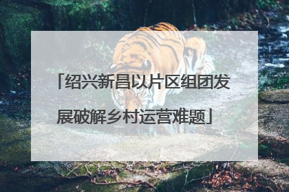 绍兴新昌以片区组团发展破解乡村运营难题