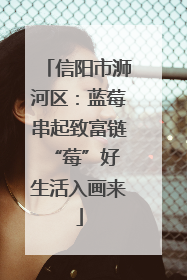 信阳市浉河区：蓝莓串起致富链 “莓”好生活入画来