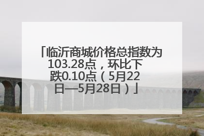 临沂商城价格总指数为103.28点，环比下跌0.10点（5月22日—5月28日）
