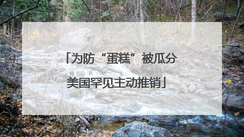 为防“蛋糕”被瓜分 美国罕见主动推销