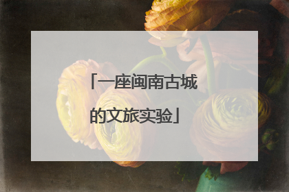 一座闽南古城的文旅实验