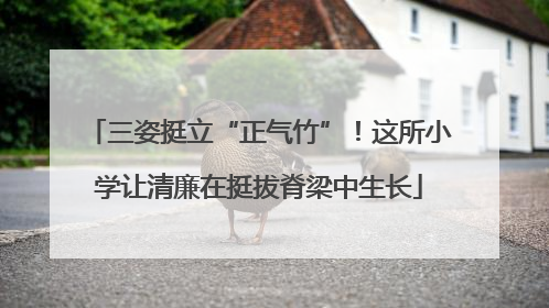 三姿挺立“正气竹”！这所小学让清廉在挺拔脊梁中生长