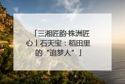 三湘匠韵·株洲匠心丨石天宝：稻田里的“追梦人”