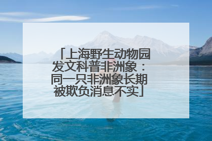 上海野生动物园发文科普非洲象：同一只非洲象长期被欺负消息不实