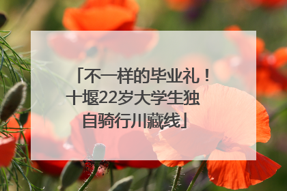 不一样的毕业礼！十堰22岁大学生独自骑行川藏线