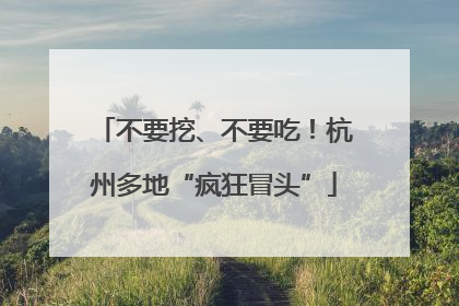 不要挖、不要吃！杭州多地“疯狂冒头”