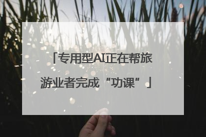 专用型AI正在帮旅游业者完成“功课”