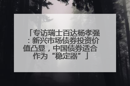 专访瑞士百达杨孝强：新兴市场债券投资价值凸显，中国债券适合作为“稳定器”