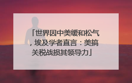 世界因中美缓和松气，埃及学者直言：美搞关税战损其领导力