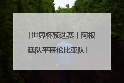 世界杯预选赛丨阿根廷队平哥伦比亚队