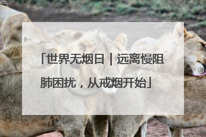 世界无烟日｜远离慢阻肺困扰，从戒烟开始