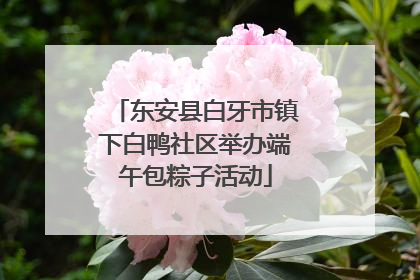 东安县白牙市镇下白鸭社区举办端午包粽子活动